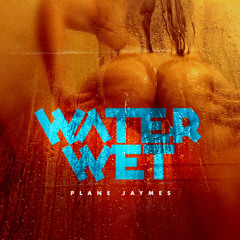 Plane Jaymes - Water Wet