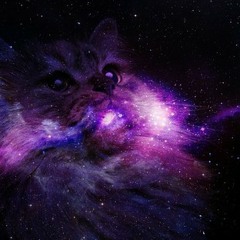 Knight Time VS Am I Wrong & Don't-Don Diablo & Ed Sheeran & Nico&Vinz(Locals Only Mashup)