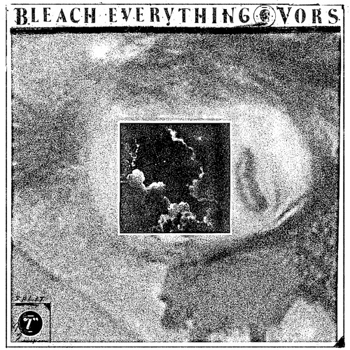 bleach-everything-the-moaner