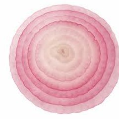 Onion Cut