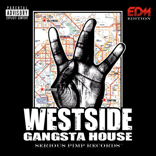 Stream SP Records Album Release Nov. 28: ** West Coast G-House