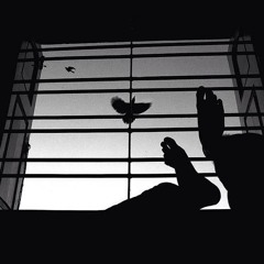 Metin Altıok Şiirlerinden Şarkılar  Mazlum  Çimen  Kuşlu Gazel