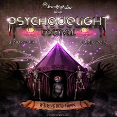 TECHNO FLOOR @ PSYCHEDELIGHT FESTIVAL - Paris, France (31/10 & 01/11/2014)