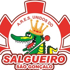MC SACI  SARRA  NO PENTE DE 30 VERSÃO SALGUEIRO  DJBRANKIINHODOSALGUEIRO  LANÇAMENTO 2015