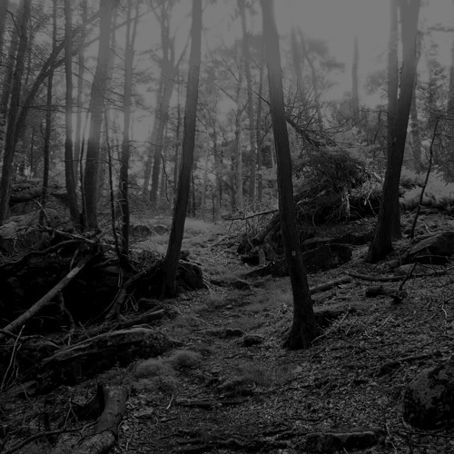 Ajna - The Diabolical Hook IV