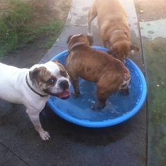 Sad Sax - I Wish I Could Run So Fast, Just Like The Flash (Produced by"thebasedmartyr")