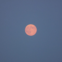 Cheater with M.L. Mae