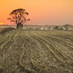 This Is My Life (official harvest production)