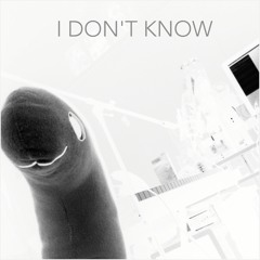 I DON'T KNOW(NUMBER GIRL COVER)