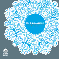Phonique, Acumen - The Moment feat. Boot Slap (Mihai Popoviciu Remix)