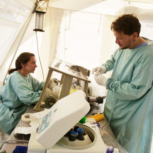 Q&A on fast-tracking Ebola vaccine human trials