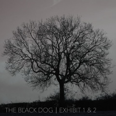 The Black Dog - Exhibit 1