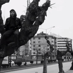 Ağaçkakan - Przlytskyrvqnv
