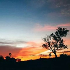 Echoing Silence 0f Our Minds