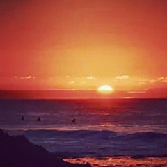 Three Little Birds (Bob Marley Cover)