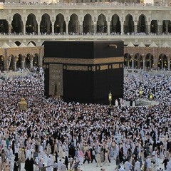 وديلى سلامى يارايح للحرم