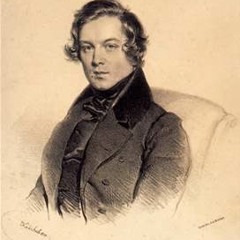 Transkription for Orchestra and Variation theme: R.Schumann Op.15 Nr.10