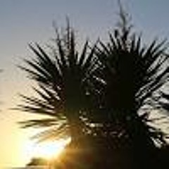 New Hydration- sweat hydrate repeat mix