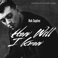 How Will I Know (Sam Smith Cover) - Bok