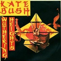 Kate Bush - Wuthering Heights (BMC Bootleg) [Snippet]