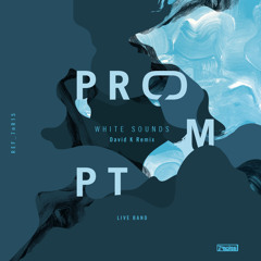 Prompt Live Band - Sounds White (David K Remix & Original Mix)