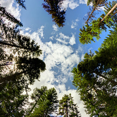 Better sound for everyone