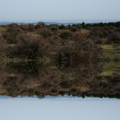 Remembrance // Roland Heidrich (Solo)