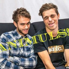 Martin Garrix - Tremmor (TouriXm Edit)