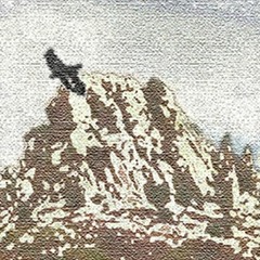 White Walls & Dromedar