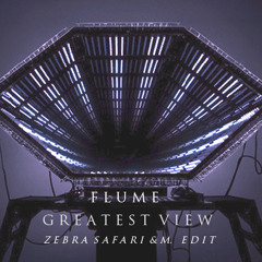 Flume- Greatest view // Zebra Safari & M. Edit