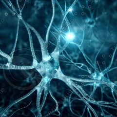 92 NEUROSTIMULLATOR