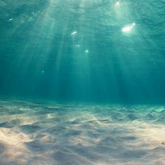 Wavves ~ California Livin