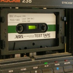 Erratic - Loosin My Head