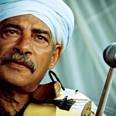 Egyptian Project - Anta Ana