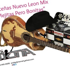 Nortenas Nuevo Leon Mix 2014 La Dj Mona