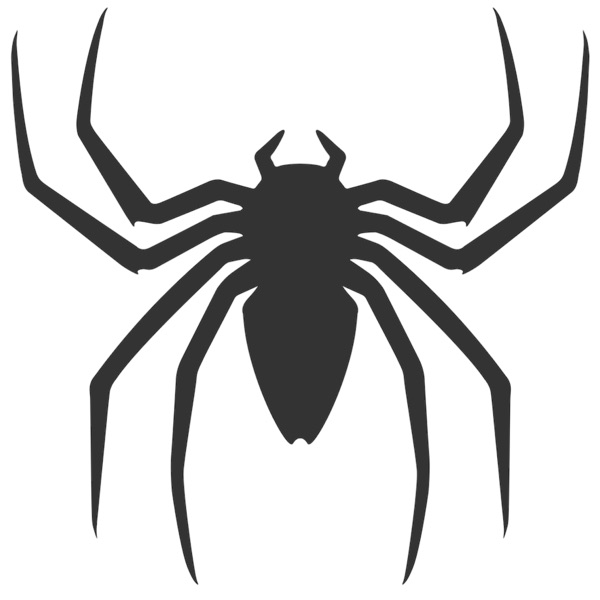 Itsy-Bitsy Spider Remix