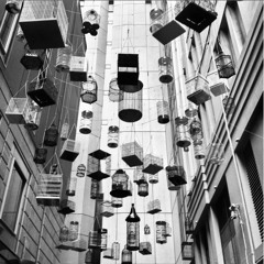 The Silence In The Bird Cage for large orchestra (2014)