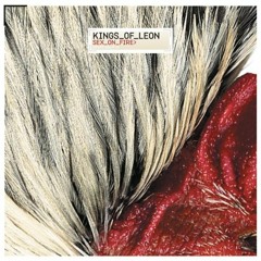Kings Of Leon - Sex On Fire (E.lectronic T.A. Remix) 2012