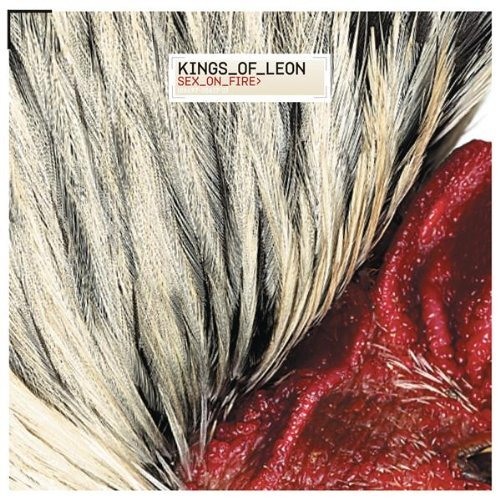 Kings Of Leon - Sex On Fire (E.lectronic T.A. Remix) 2012