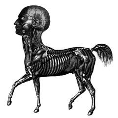 RIEN @diVAJEU(XXLzOB WORLD TOUR 3014)