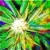 Artwork for Cannabis Sativa [Preview] - Dooblanal