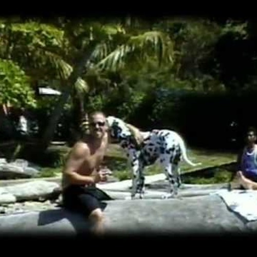Sublime - Leaving Babylon