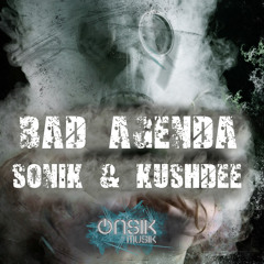 BAD AGENDA VOL 1 - SONIK & KUSHDEE