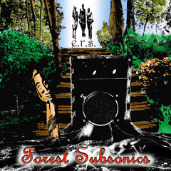 Downtempo•Psydub•Dubtechno•Organic House•Bassmusic 1