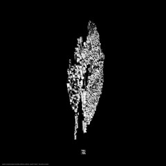 Rrose, Perc, Pfirter, Lakker ‘V – Five Years Of Artefacts – Chapter One’ [SA5YEARS01]