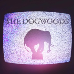 Elephants On Acid - Single