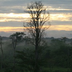 Sound recording from Barbacoas