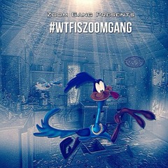 HunnitG X Swizz - Get Low #WTFISZOOMGANG