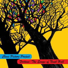 12 Don't Let Me Down - from the Class Picture Project album "Fortune: The Songs of Noah Hall"