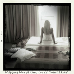 Wolfgang Wee - What I Like ft. Chris Lie
